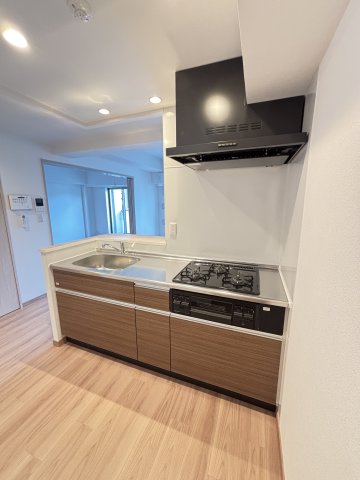 ＬＡＳＡ大崎Ⅴ0206号室 キッチン