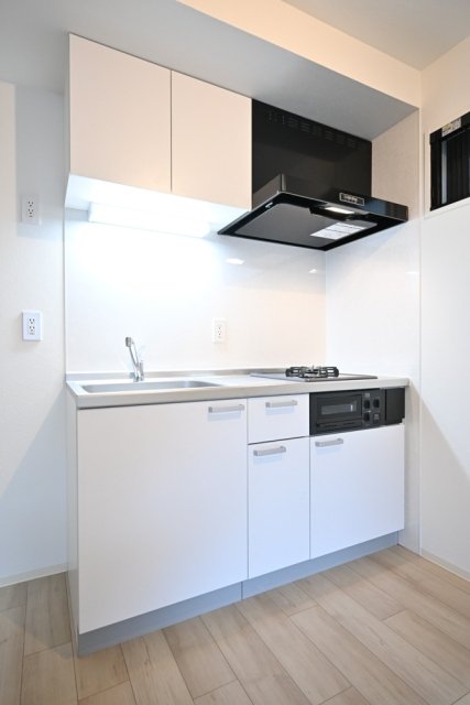 フェリデンシア御嶽山2階 システムキッチン（2口ガスコンロ・グリル付）