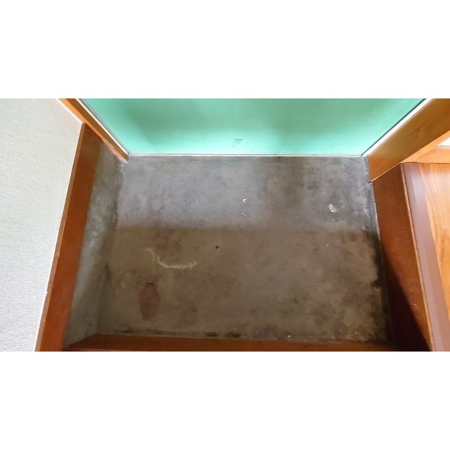 スカイコーポラス0201号室 玄関