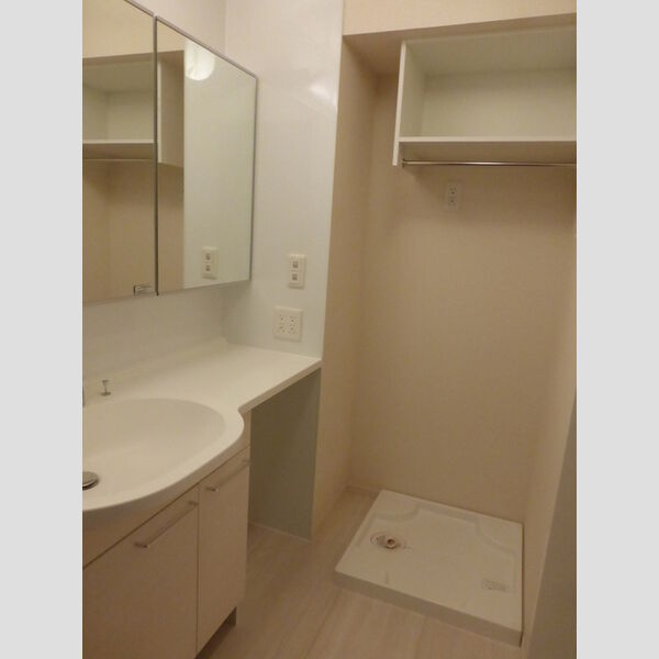 フラッシングメドウ狭山206号室 洗面所