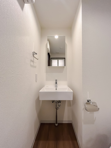 スカイラシクラス平和台103号室 洗面