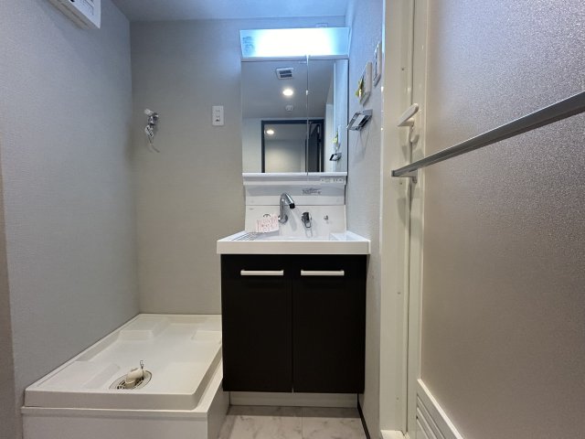 グローリオシェルト駒込0203号室 洗面