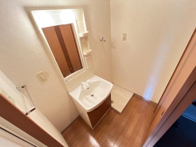 グランペール　エリテ205号室 脱衣所