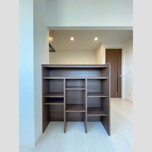 エクセレント ヒルズ306号室 カウンター収納棚