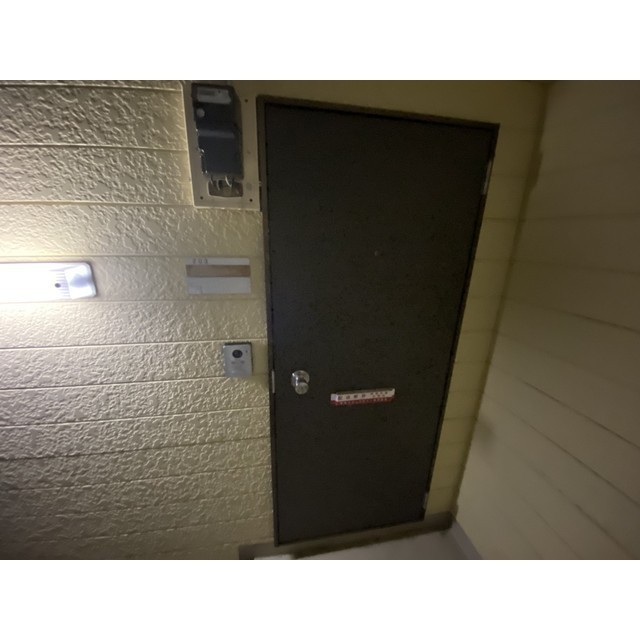 チェリー東宝203号室 玄関