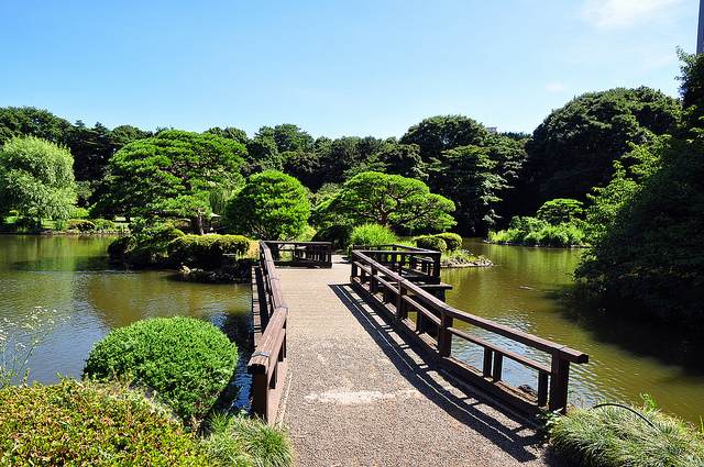 ガーラ・プレシャス神宮外苑2階 新宿御苑