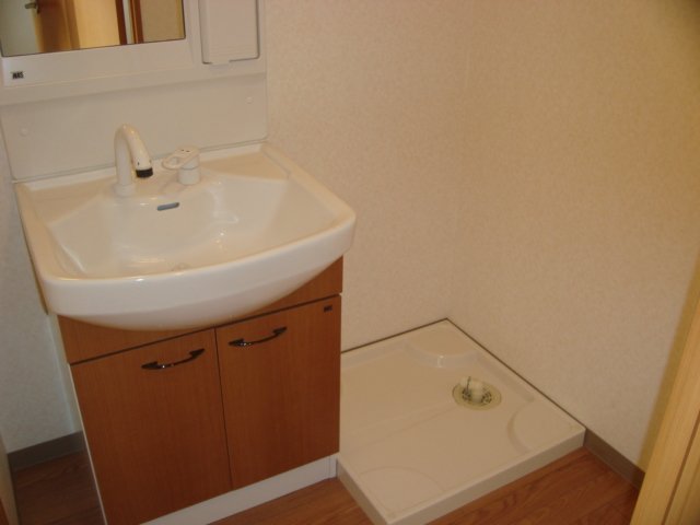 ヴィアーレ・ガーナ403号室 洗面