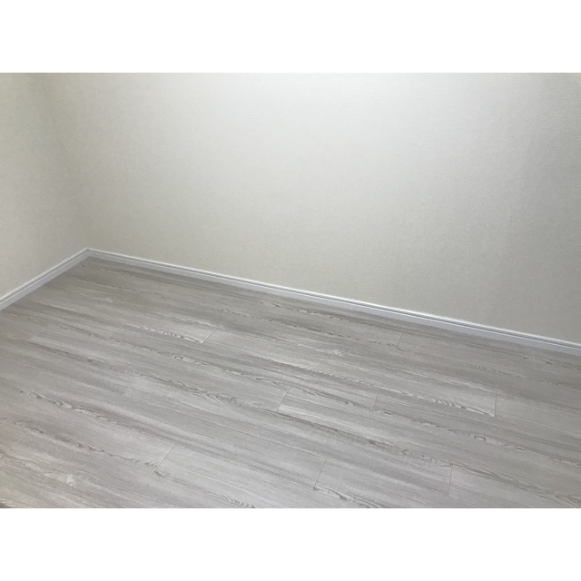 ドリームスペースマンション リビング