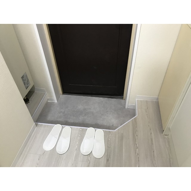 ドリームスペースマンションC-05号室 玄関