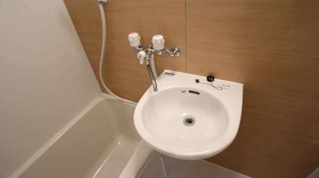 ベイルーム横浜鶴見Ⅱ205号室 洗面