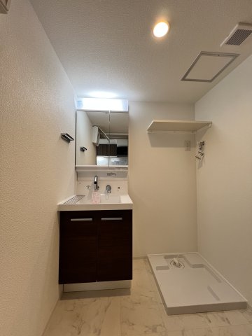 GRANPASEO下北沢Ⅲ203号室 洗面
