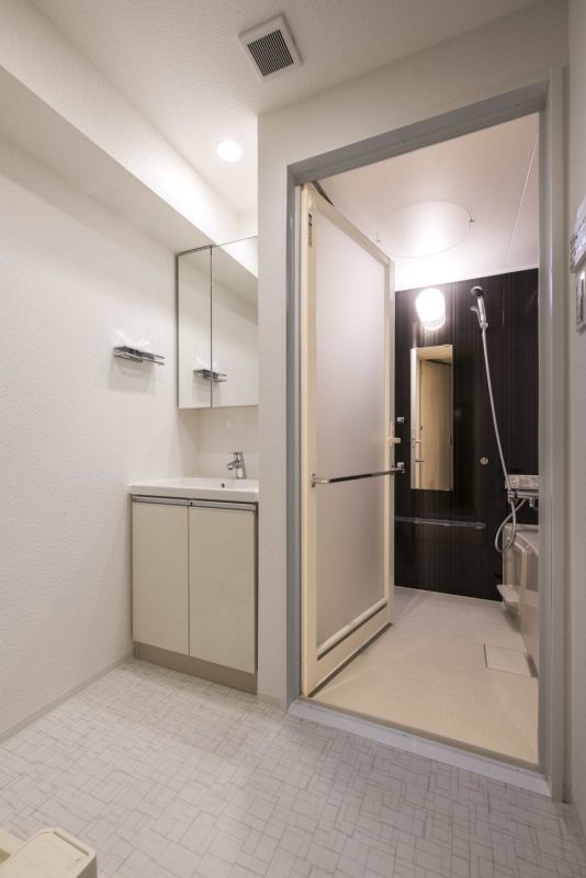 DIPS板橋駅前公園203号室 洗面