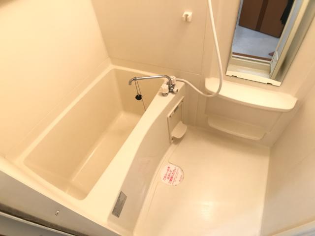 ヴィアーレ・ガーナ バス