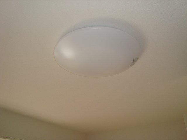 オリーヴ00301号室 照明