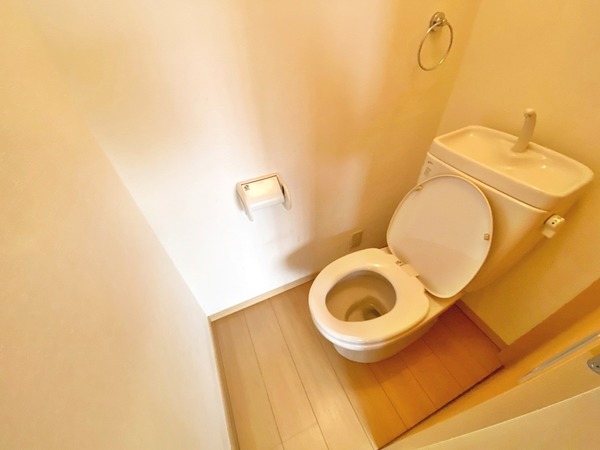 さいわいハイツ103号室 同建物別部屋の参考画像