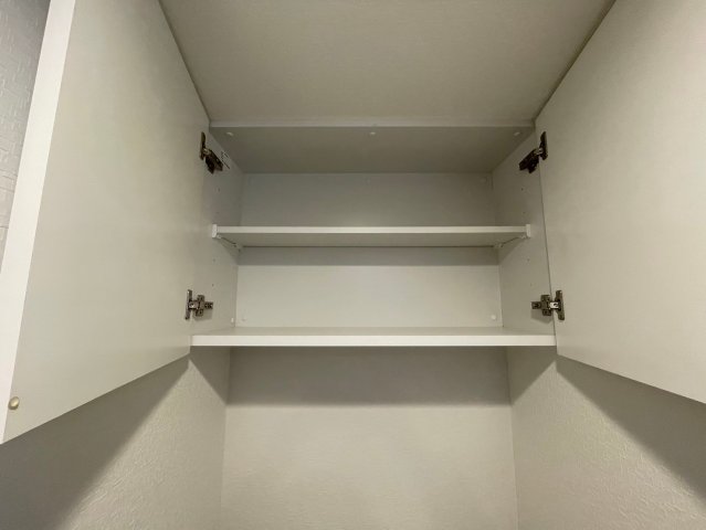 DIPS大山東町303号室 トイレ