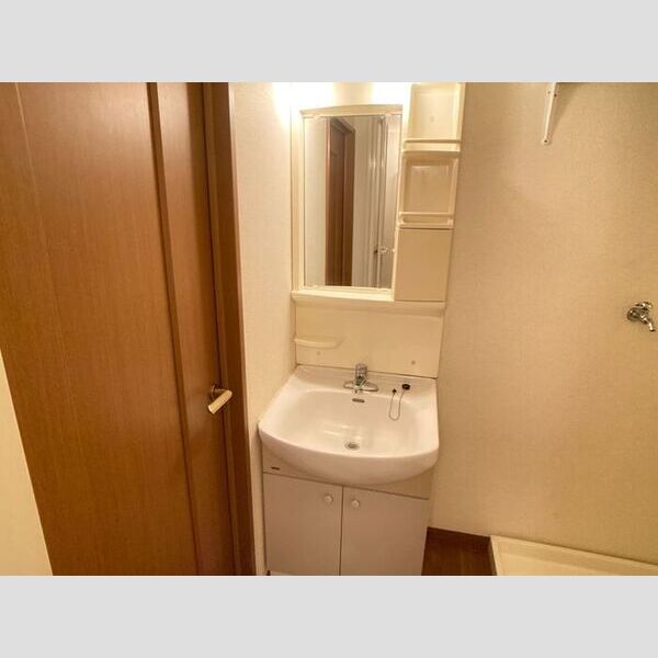 ラ・フェリア101号室 洗面