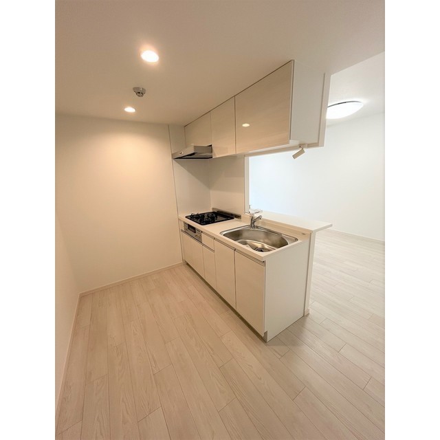 SOLASIA residence世田谷代田0104号室 キッチン