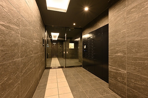 プレセダン石神井公園7階 風除室　※新築時2024年11月撮影