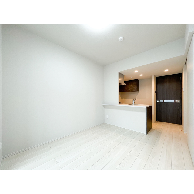 ACP Residence 錦糸町0202号室 リビング