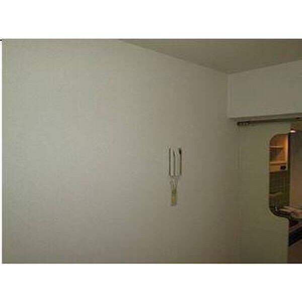 メゾン・ド・エスポワール0401号室 部屋その他