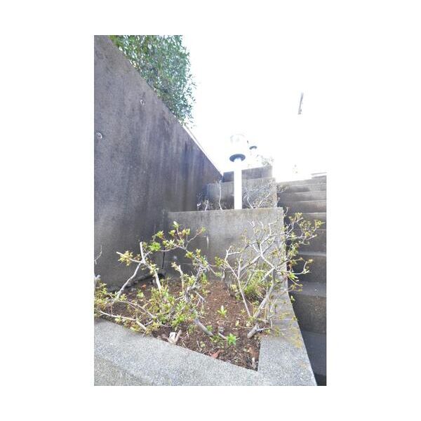 セントピア207号室 部屋その他