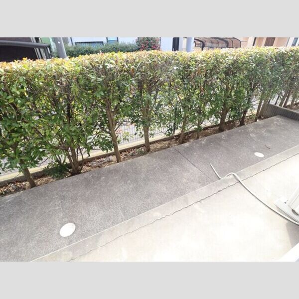 リビングタウンみずき　ABCC101号室 テラス