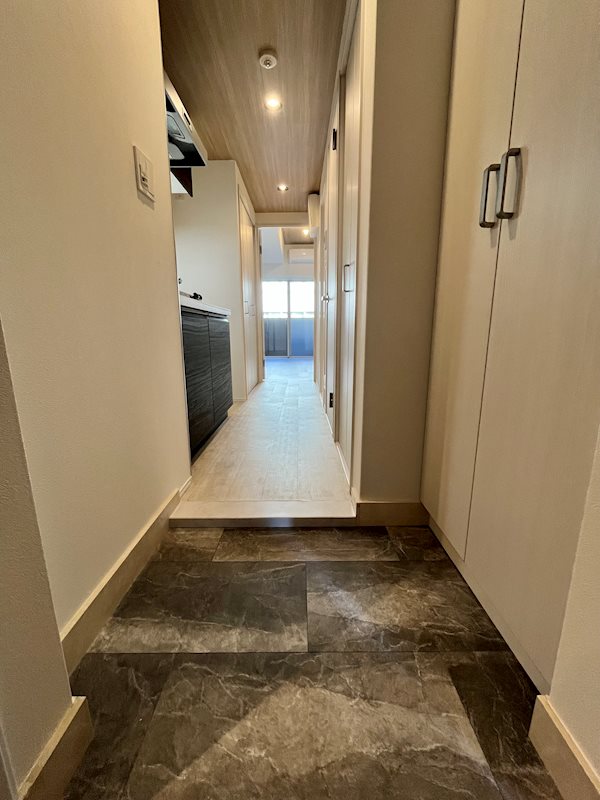 レジディア新御茶ノ水3階 玄関