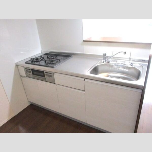 サウスヒルズⅢ110号室 システムキッチン