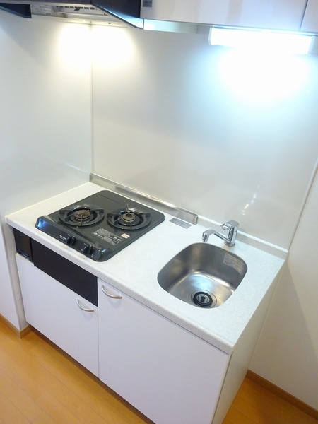 スカイコートヌーベル入谷1003号室 キッチン