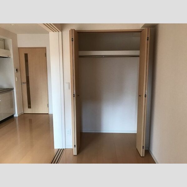 ステラ　トーレ(Stella　torre)203号室 クローゼット