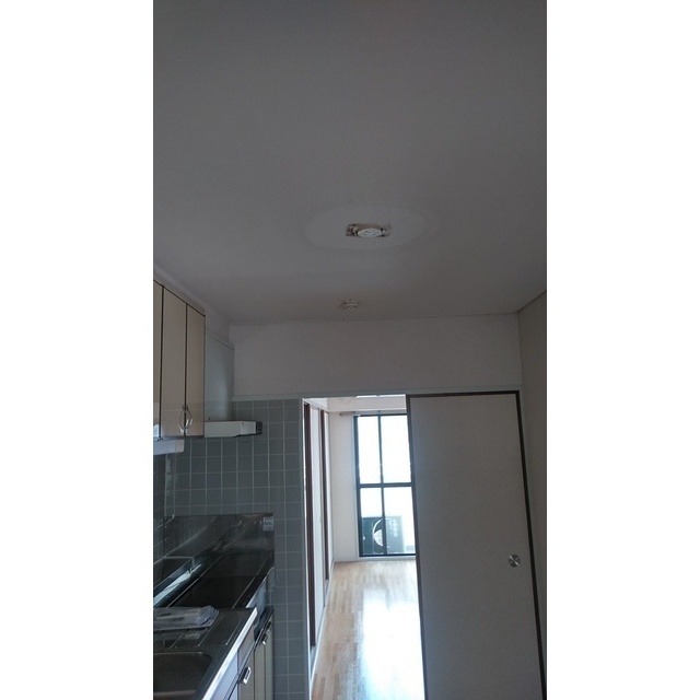 成城ロイヤルマンション0207号室 引っ掛けシーリング