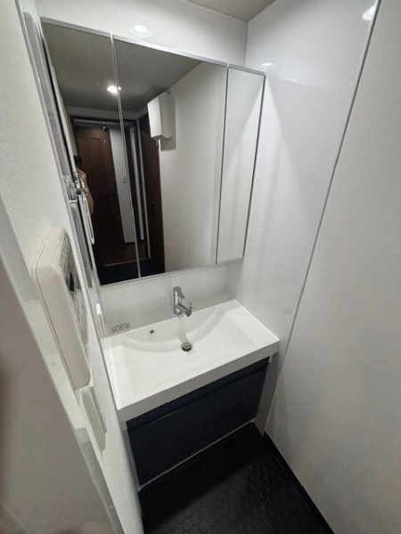 Ｔｈｅ　Ｓｈｉｎａｇａｗａ　Ｅａｓｔ　Ｒｅｓｉｄｅｎｃｅ2階 洗面