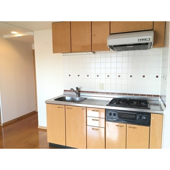 ハウス１７１0701号室 キッチン