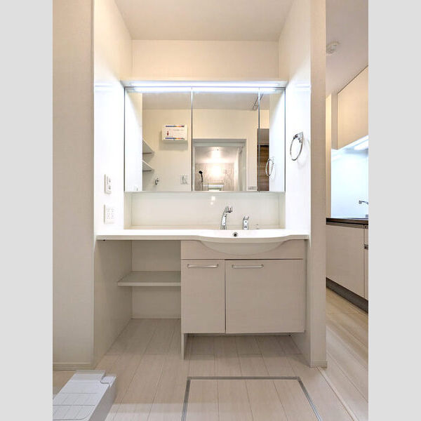 エクセリア高島平Ⅰ 洗髪洗面化粧台