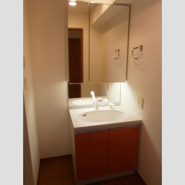 ロイヤルパークス西新井1123号室 洗面台