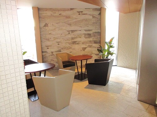 ライオンズ東京三ノ輪ミレス9階 ロビー　※2023年9月撮影