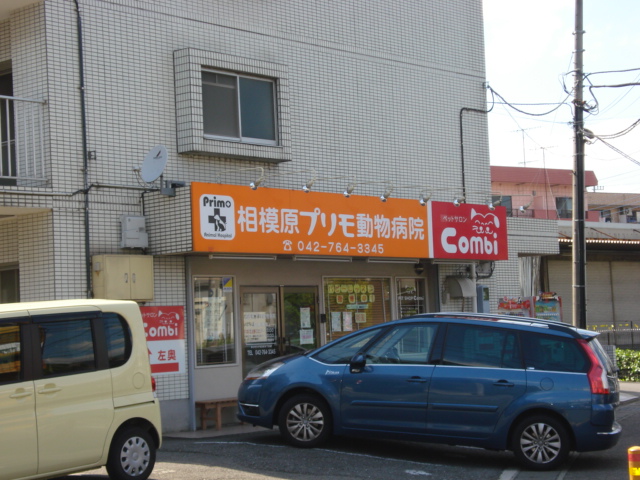 ウルール 動物病院まで30ｍ