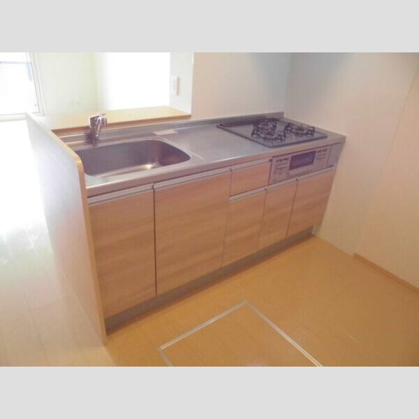 エテルナ102号室 対面システムキッチン