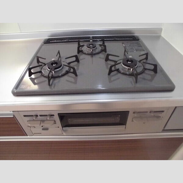 ロイジェントパークス レイクタウン Ⅲ　E210号室 システムキッチン