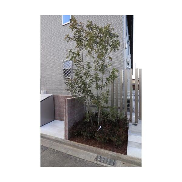 フォレストメゾン聖蹟B102号室 部屋その他