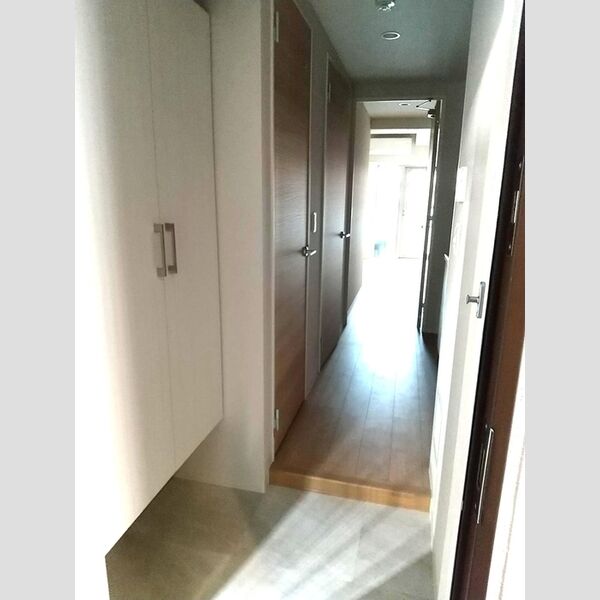 TRE LUCE横濱関内401号室 玄関(シューズボックス)