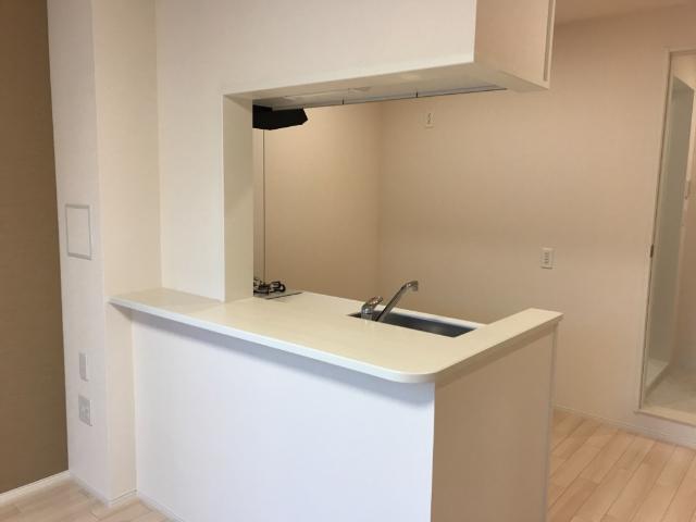 カサブランカ201号室 カウンター