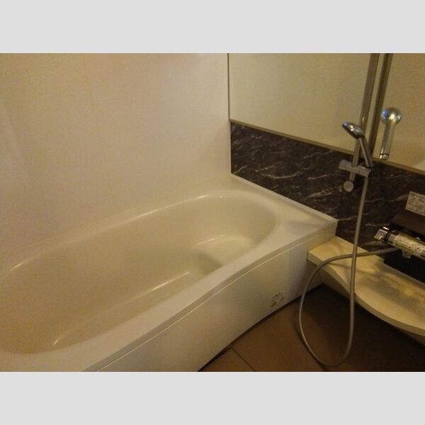 山王NTステージ　BB206号室 1坪風呂
