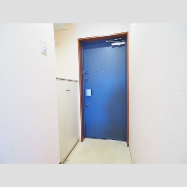 グランディール はるひ野 玄関(シューズボックス)