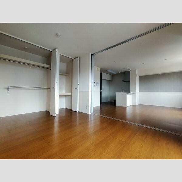 メゾンドール303号室 リビング・洋室　別角度