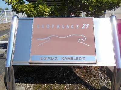 レオパレスＫＡＭＥＬＥＯⅡ　101号室 部屋その他