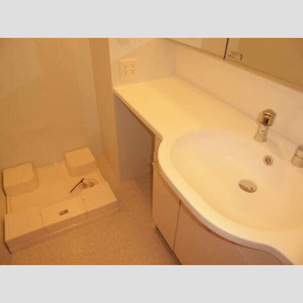 Tip Top Masuko102号室 洗面室