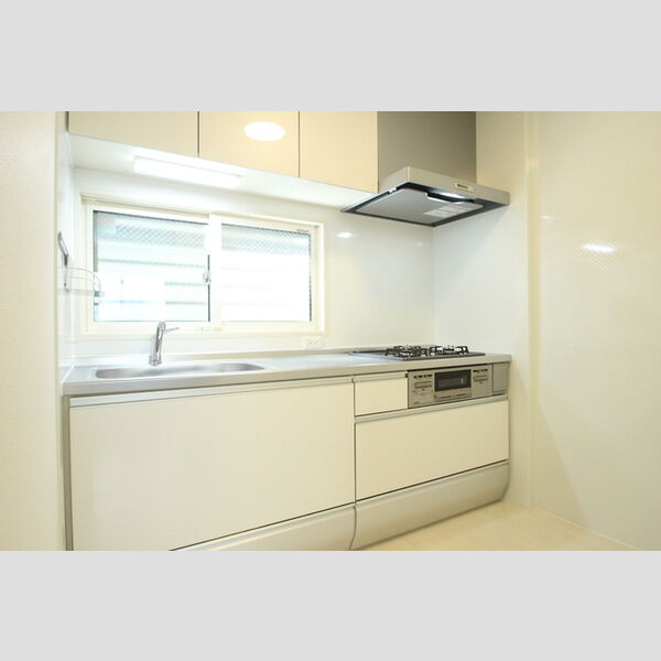 サンシャンテ上野毛　A A102号室　キッチン