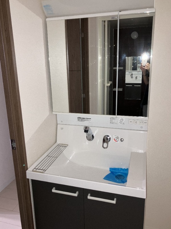 ドムス・スタイル銀座東11階 洗面